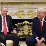 TABEF ve BAMEX Işığında Türkiye-Afrika İş birliği: Ekonomik Fırsatlar ve Güvenlik Dinamikleri