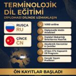 İleri Düzey Terminolojik Çince Eğitimi